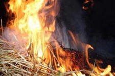 Спасатели МЧС России ликвидировали пожар частного сена в Ижморском МО